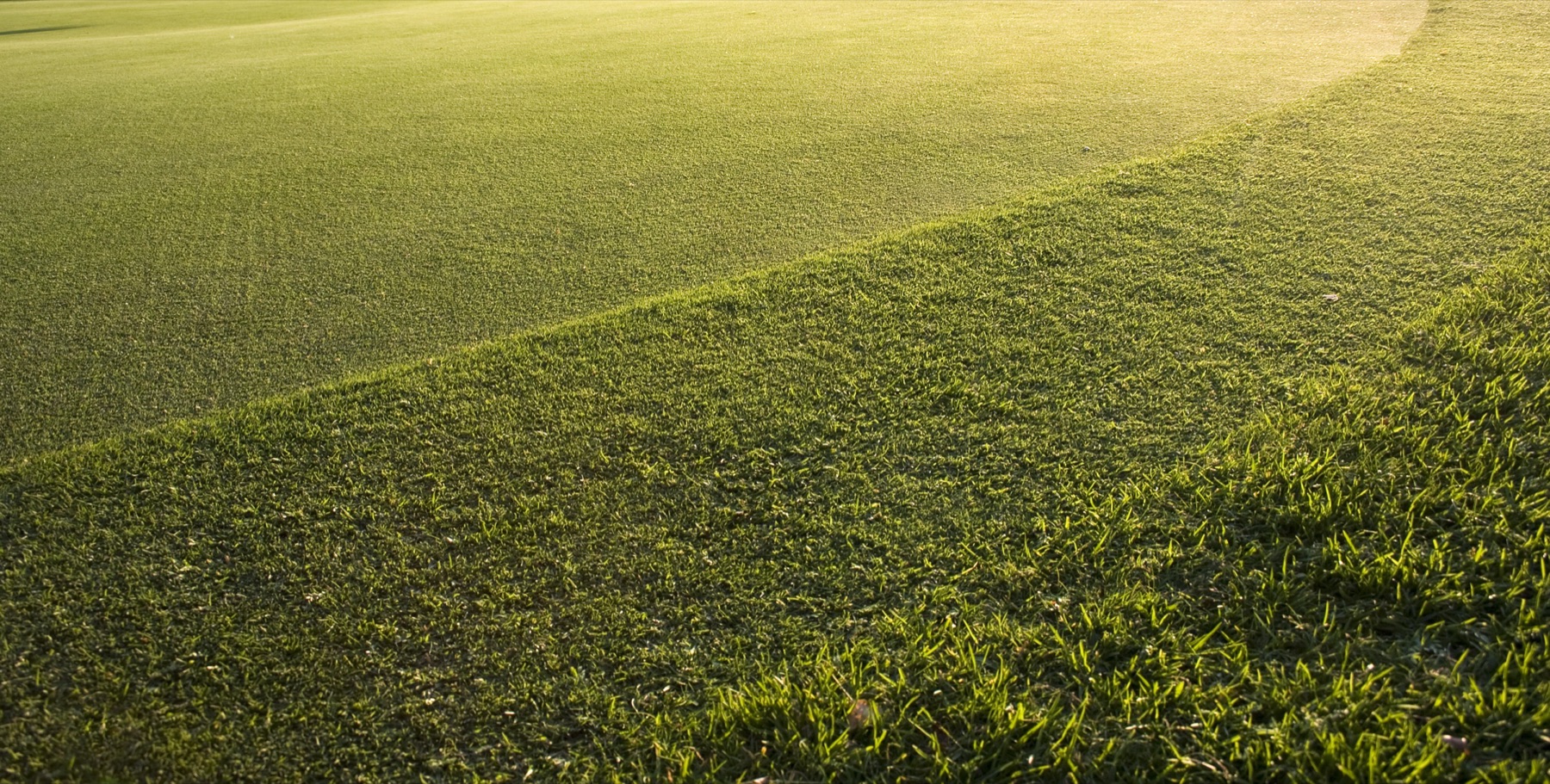 A manicured golf course green
